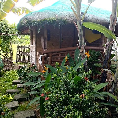 Dupas Luce Love Lodges Talipan Ngoại thất bức ảnh