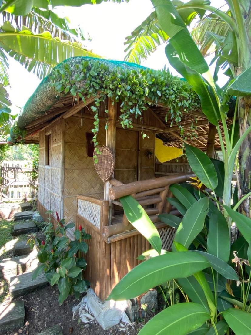 Dupas Luce Love Lodges Talipan Ngoại thất bức ảnh