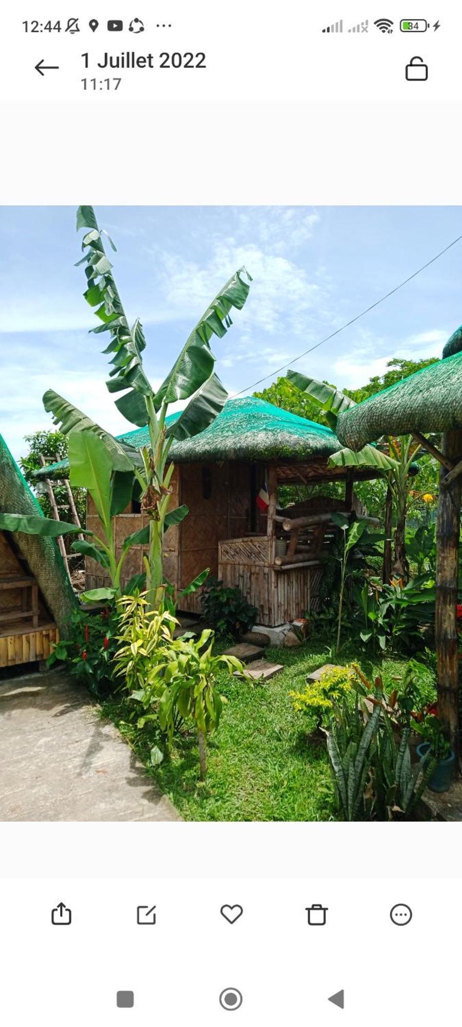 Dupas Luce Love Lodges Talipan Ngoại thất bức ảnh